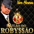 Bailão do Robyssão, Swingueira das Antigas