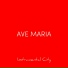 Instrumental City