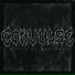 Convulse