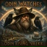 Odin Rising