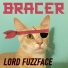 BRACER