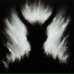 shadowave, WXNNVCRY