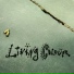 Living Colour