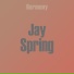 Jay Spring