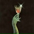 slickgecko