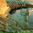 Seaweed Goorillas