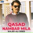 Wajid Ali Deed