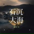 董大伟