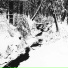 Anton Ryazanov Project