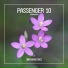 Passenger 10
