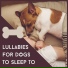 Sleep Music System