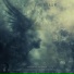 Songs To Your Eyes, Adi Goldstein