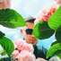 Jovany Leon