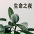 车玮
