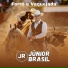 Júnior Brasil