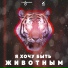 HBKN, The Masha