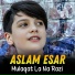 Aslam Esar