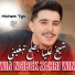 Cheb Hichem Tgv