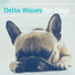 Music for Dogs
