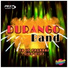 Durango Band