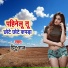 Pintu Raj