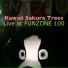 Kawaii Sakura Trees