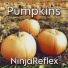 NinjaReflex