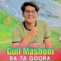 Gull Mashom