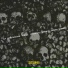 SUSTANXiA feat. Deippen, RouB, young emma