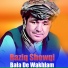 Raziq Showqi