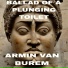 ARMIN VAN BUREM