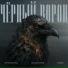 Сергей Бобунец, Михаил Барков, ZABARA