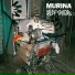 Murina