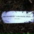 Sir Robert Orange Peel