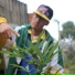 el poeta vsc