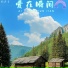 周茜音