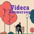 Videca