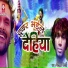kailash bedardi