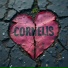 Cornelis