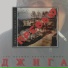 Джига