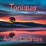 Andin Lindroos