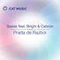 Speak feat. Brighi & Cabron