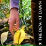 POWERFUL RAMA