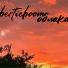 bertieboom