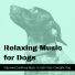 Relax for Life,Music for Dogs Collective