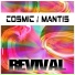 Cosmic Mantis