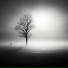 AC Luciddream