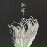 花粥