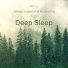Deep Sleep