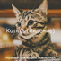 Музыка для кошек вселенная